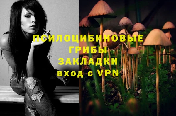 a pvp Алексин